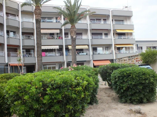 Appartement Roses, 2 pièces, 4 personnes - photo_18573272630