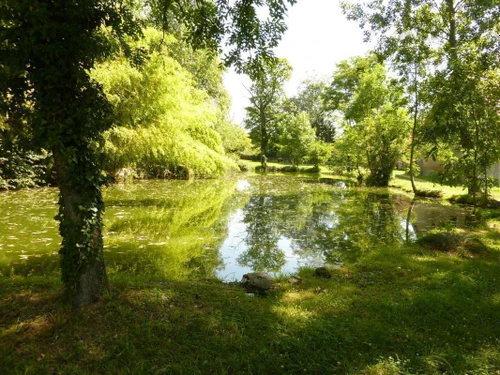 Gite Treteau, 1 bedroom, 2 persons - photo_14120039391