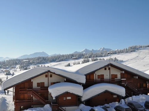 Apartamento Les Saisies, estudio, 4 personas - photo_19221554320