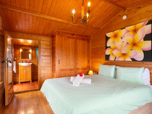 Villa Icod de los Vinos, 1 Schlafzimmer, 3 Personen - photo_19235829666