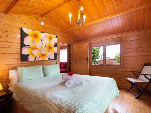 Villa Icod de los Vinos, 1 Schlafzimmer, 3 Personen - photo_19235829666