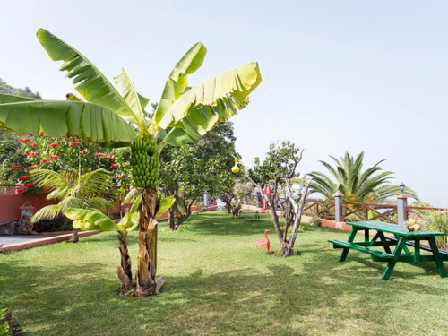 Villa Icod de los Vinos, 2 pièces, 2 personnes - photo_19254449789