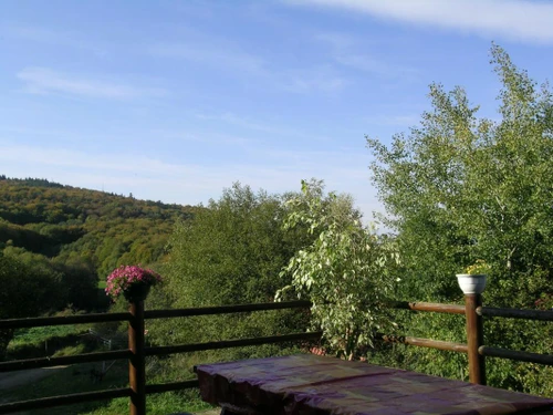 Gite Laprugne, 3 bedrooms, 8 persons - photo_14120075689