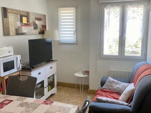 Apartment Amélie-les-Bains-Palalda, 1 bedroom, 2 persons - photo_18825814112