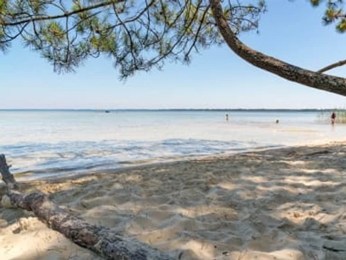 Studio Biscarrosse Plage, 1 pièce, 4 personnes - photo_14616076175