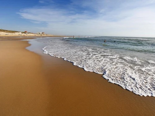 Studio Biscarrosse Plage, studio flat, 4 persons - photo_14516196456