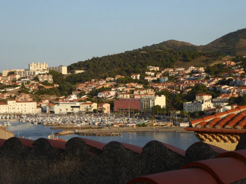 Studio Banyuls-sur-Mer, 1 pièce, 2 personnes - photo_17489066705