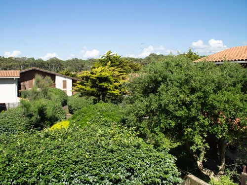 Maison Seignosse, 2 pièces, 4 personnes - photo_3386659302