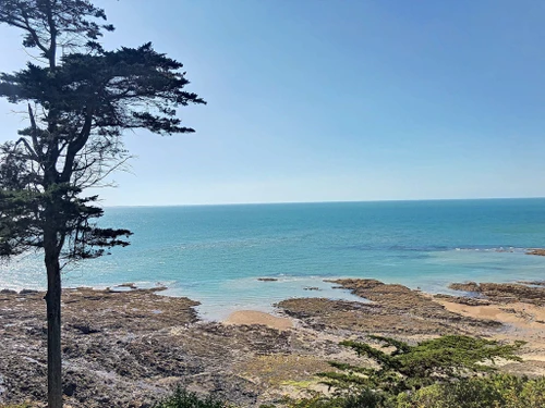 Appartement Saint-Pair-sur-Mer, 1 pièce, 2 personnes - photo_10789930399