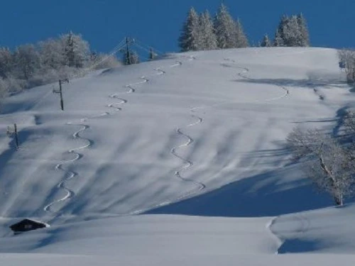 Appartement Crest-Voland, 3 pièces, 6 personnes - photo_19386694408