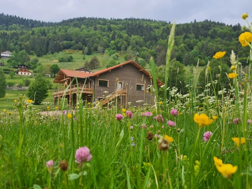 Gite La Bresse, 5 bedrooms, 10 persons - photo_16849204895