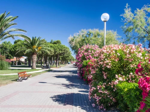 Ferienwohnung Argelès-sur-Mer, Studio, 2 Personen - photo_19415928398