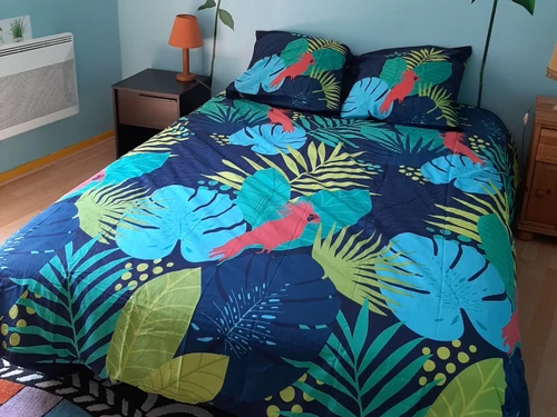 Apartment Arcachon, 1 bedroom, 3 persons - photo_18619360856