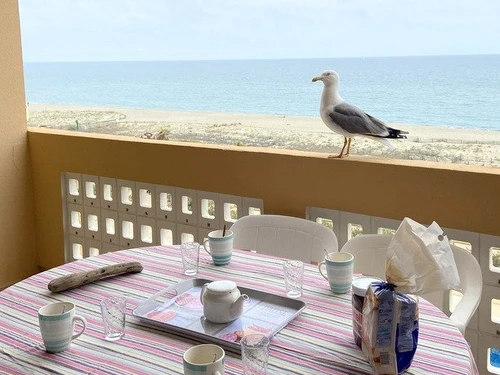 Appartement Le Barcarès, 3 pièces, 6 personnes - photo_15550932129