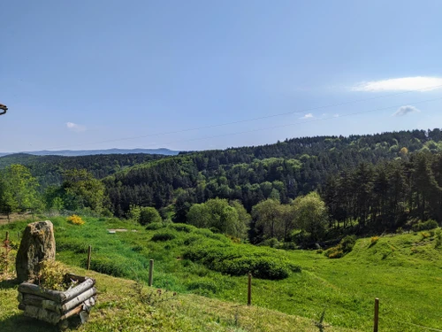 Gite Saint-Préjet-d'Allier, 4 bedrooms, 8 persons - photo_15004657943