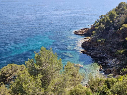 Appartement Cavalaire-sur-Mer, 3 pièces, 6 personnes - photo_19489012194