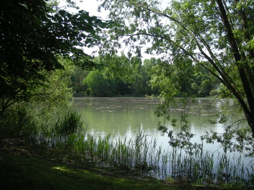 Gîte Sainte-Fauste, 3 pièces, 4 personnes - photo_14993929979