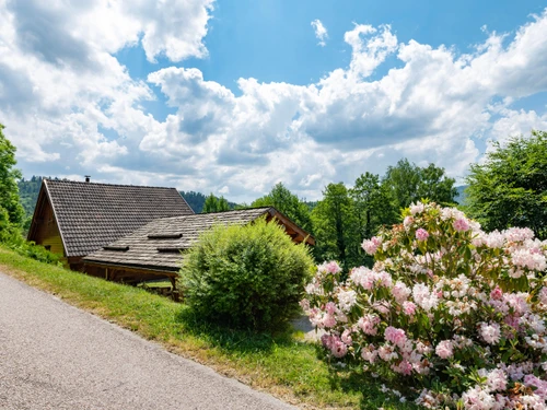 Gite Thiéfosse, 3 bedrooms, 6 persons - photo_19542205059