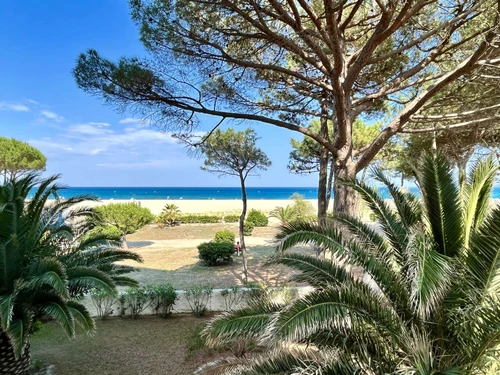 Apartment Argelès-sur-Mer, 2 bedrooms, 4 persons - photo_19554458339