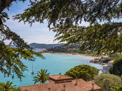 Appartement Le Lavandou, 3 pièces, 6 personnes - photo_12978423662