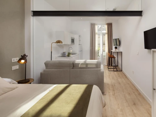 Apartment Málaga, 1 bedroom, 2 persons - photo_19578310947