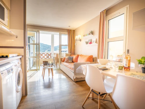 Apartamento Saint-Raphaël, 1 dormitorio, 4 personas - photo_17315880771