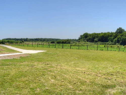 Studio Joué-lès-Tours, studio flat, 3 persons - photo_19724369934