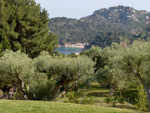 Villa Begur, 5 pièces, 8 personnes - photo_18403260136