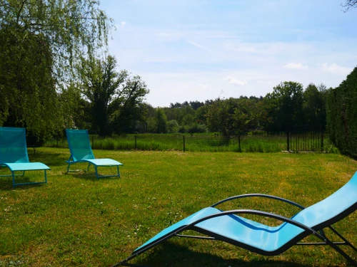 Gite Ligny-le-Ribault, 3 bedrooms, 6 persons - photo_14994383888