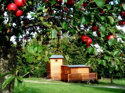 Gîte Écouves, 3 pièces, 4 personnes - photo_19726589812