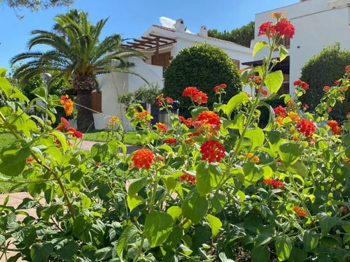 Appartement La Pineda, 2 pièces, 5 personnes - photo_19287755884