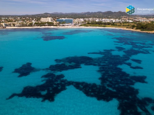 Apartment S'illot, 1 bedroom, 2 persons - photo_17285328239