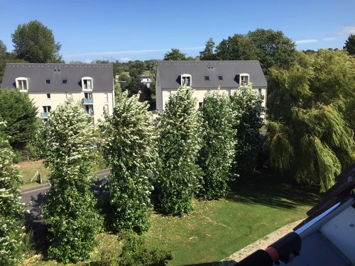 Apartment Villers-sur-Mer, 1 bedroom, 2 persons - photo_18902672740