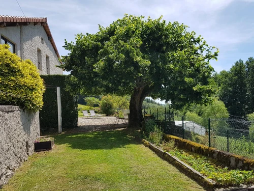 Gîte Laprugne, 4 pièces, 6 personnes - photo_19562112097