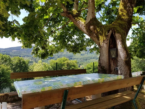 Gîte Laprugne, 4 pièces, 6 personnes - photo_19562112097