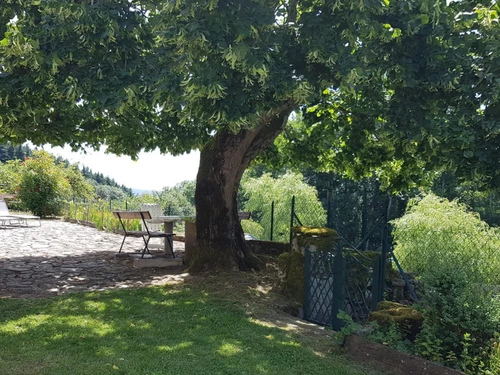 Gîte Laprugne, 4 pièces, 6 personnes - photo_19562112097