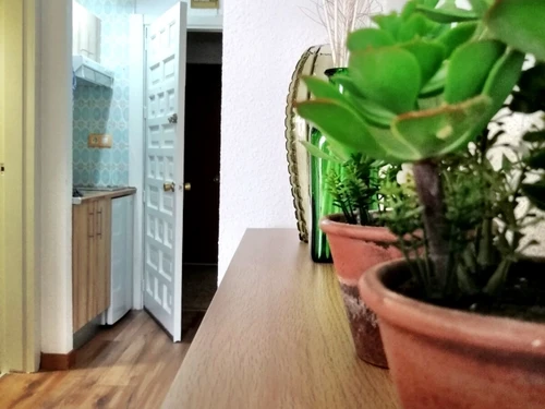 Apartamento Torremolinos, 1 dormitorio, 4 personas - photo_19807152859