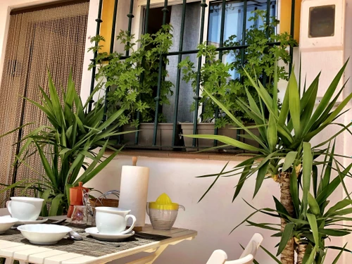 Appartement Torremolinos, 2 pièces, 4 personnes - photo_19807153152