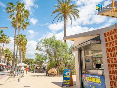 Apartment Colònia de Sant Jordi, 1 bedroom, 2 persons - photo_17229466069