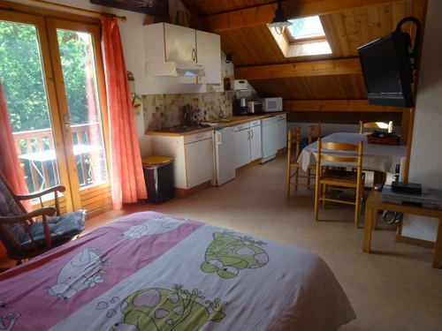 Appartement Saint-Chaffrey , 2 pièces, 5 personnes - photo_19833282016