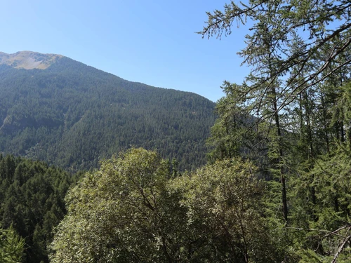 Ferienwohnung Les Orres, Studio, 6 Personen - photo_19900622395