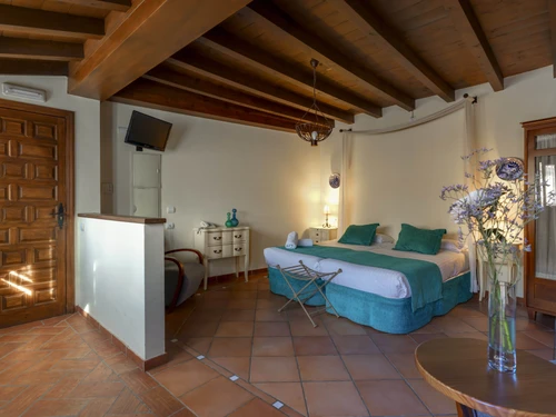 Ferienwohnung Granada, 1 Schlafzimmer, 2 Personen - photo_19927377431