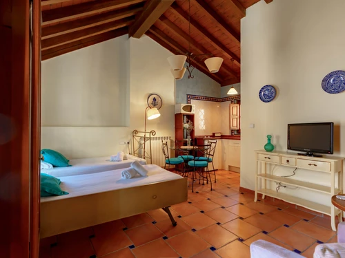 Apartment Granada, 1 bedroom, 4 persons - photo_19927377952