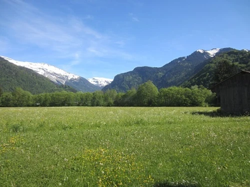 Apartment Samoëns, 1 bedroom, 6 persons - photo_15767056039