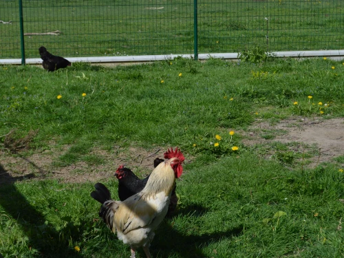 Guestroom Pérassay, 1 pièce, 2 personnes - photo_19570689495