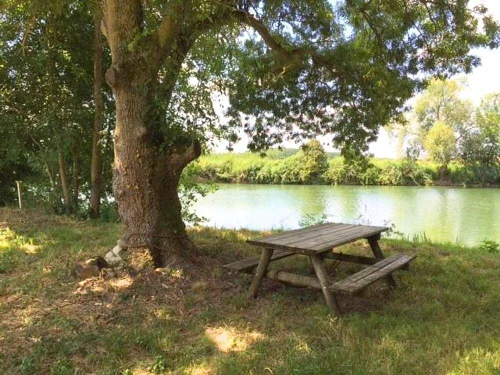 Gite Coulonges, 3 bedrooms, 6 persons - photo_18272667040