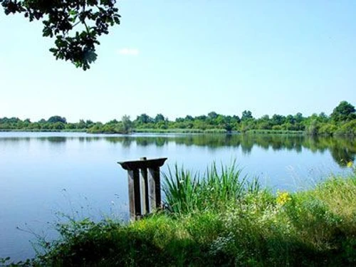 Gîte Mézières-en-Brenne, 3 pièces, 5 personnes - photo_14993944746