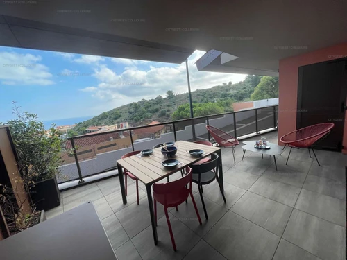 Apartment Collioure, 2 bedrooms, 4 persons - photo_20004706926