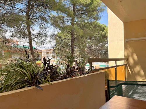 Apartment Bormes-les-Mimosas, 1 bedroom, 4 persons - photo_20044872269