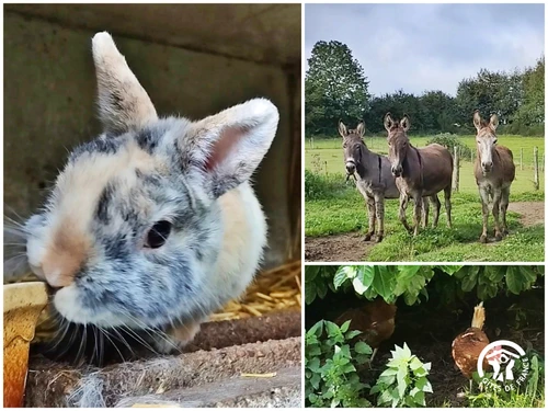 Guestroom Saint-Thomas-de-Courceriers, 1 pièce, 5 personnes - photo_18801500416